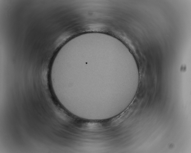 X0000102810154200809151000