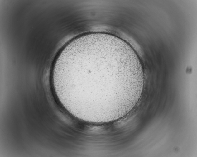 X0000102810155200809151000