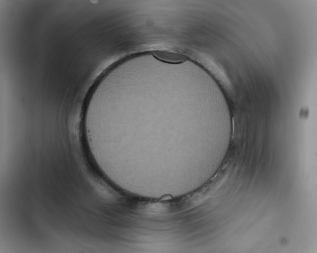 X0000102810156200809151000