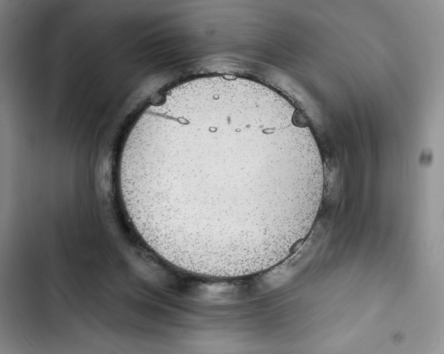 X0000102810158200809151000