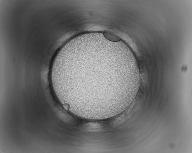 X0000102810159200809151000