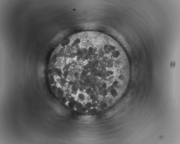 X0000102810161200809151000