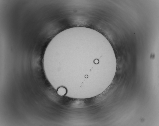 X0000102810162200809151000