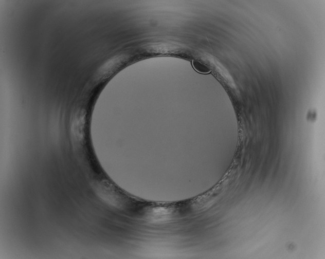 X0000102810163200809151000