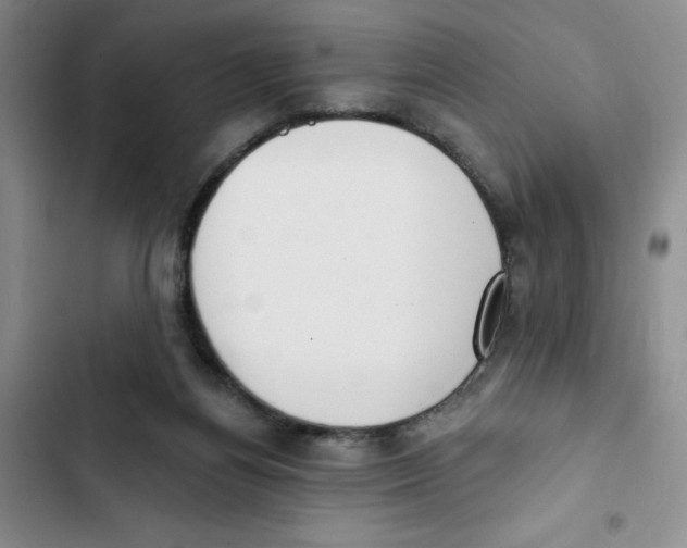 X0000102810164200809151000