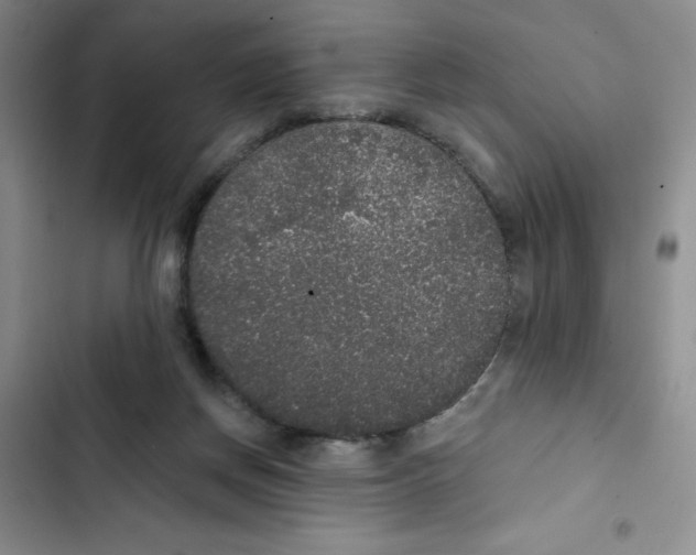 X0000102810166200809151000