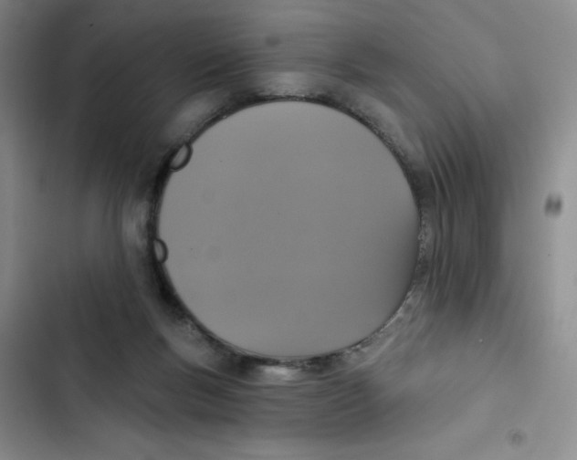 X0000102810167200809151000