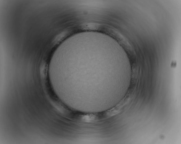 X0000102810168200809151000