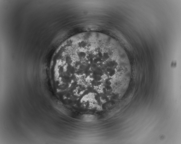 X0000102810169200809151000