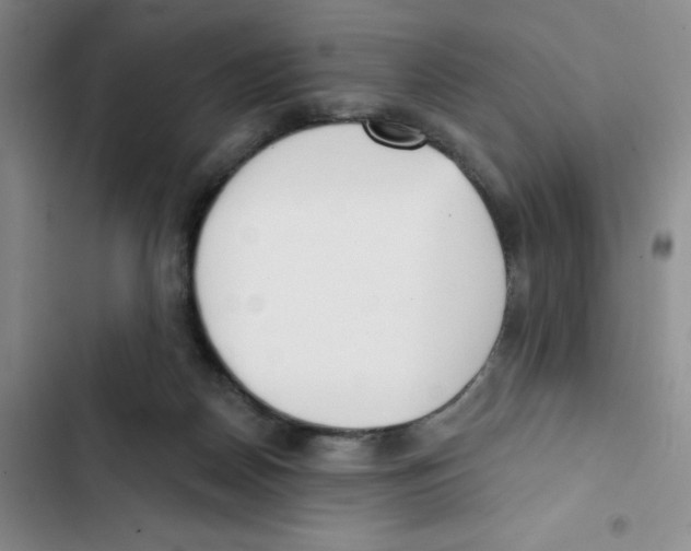 X0000102810170200809151000