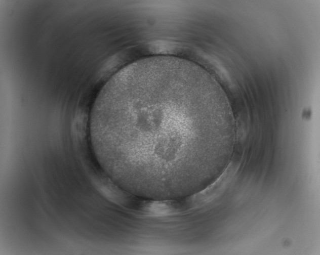 X0000102810171200809151000