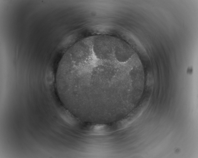 X0000102810173200809151000