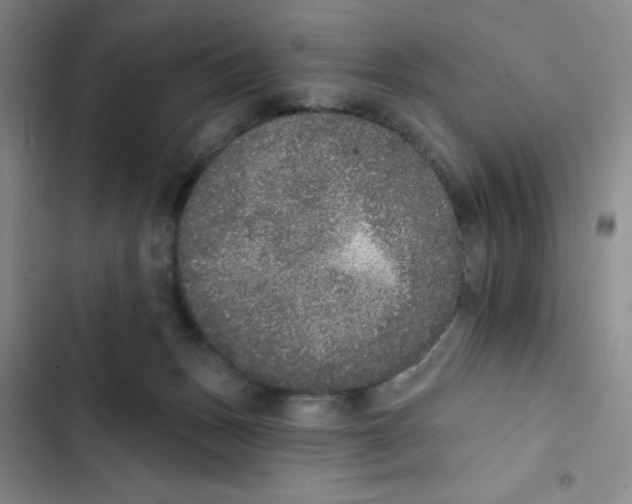 X0000102810175200809151000