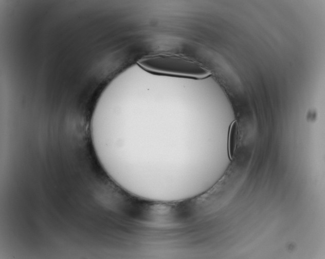 X0000102810176200809151000