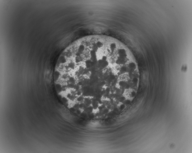 X0000102810177200809151000