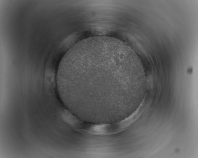 X0000102810178200809151000