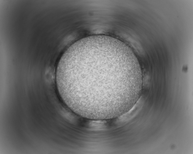 X0000102810179200809151000