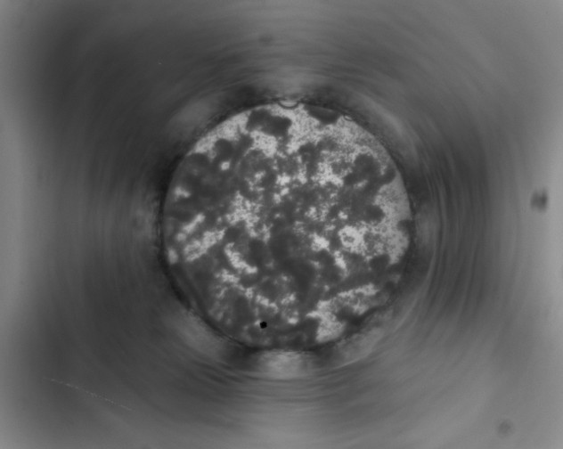 X0000102810181200809151000