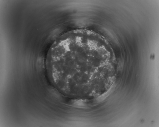 X0000102810182200809151000