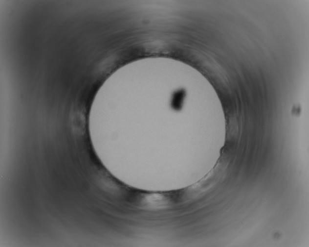 X0000102810183200809151000