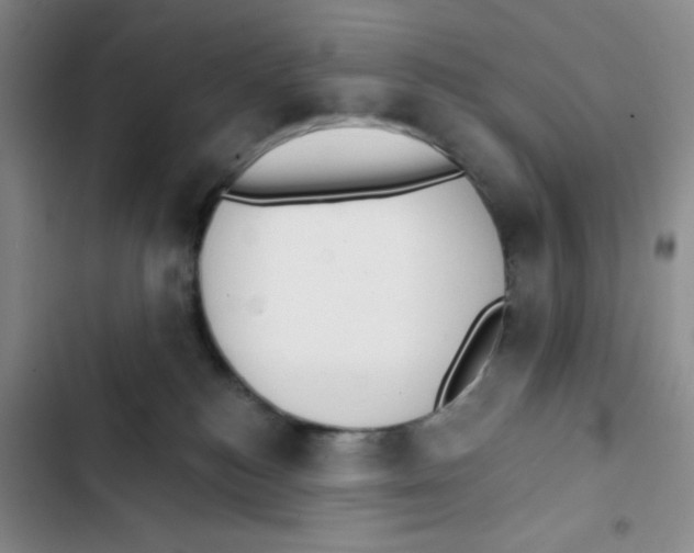 X0000102810184200809151000