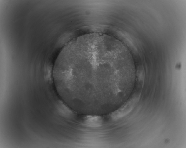 X0000102810185200809151000