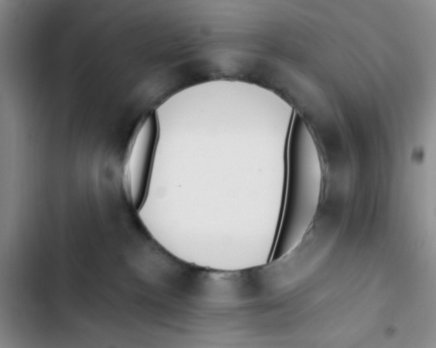 X0000102810188200809151000