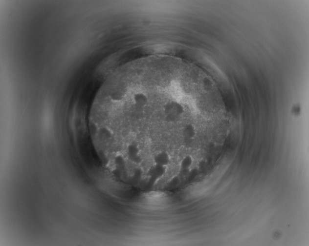 X0000102810189200809151000