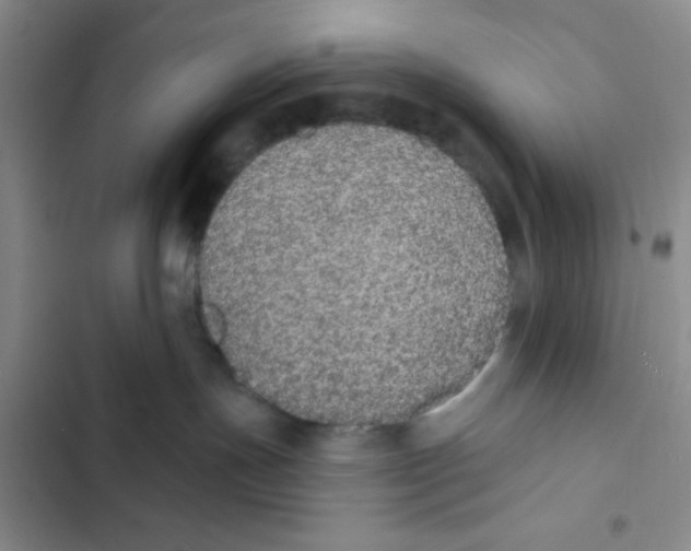 X0000102810191200809151000