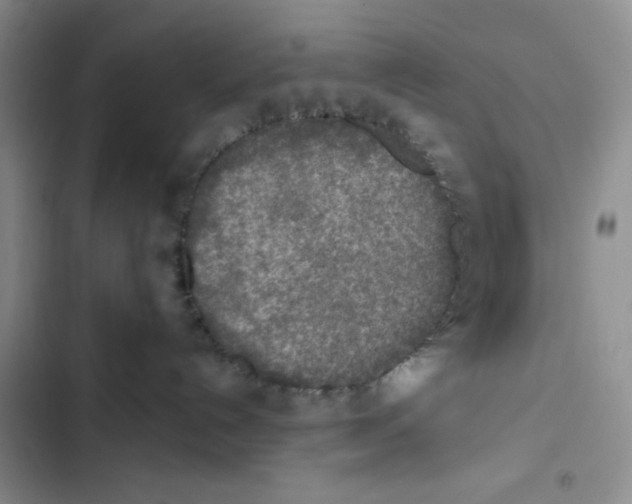 X0000102810192200809151000