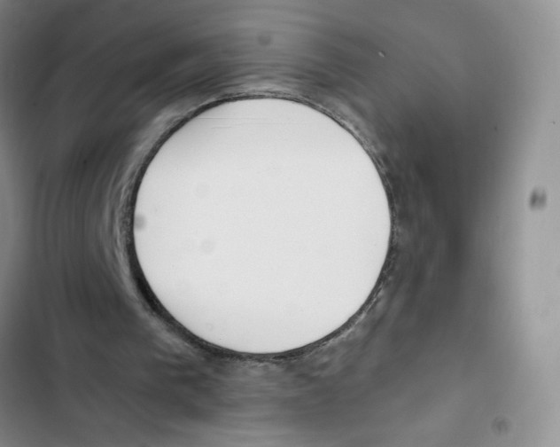 X0000102810193200809150959