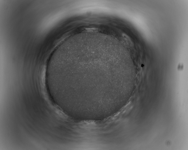 X0000102810194200809150959