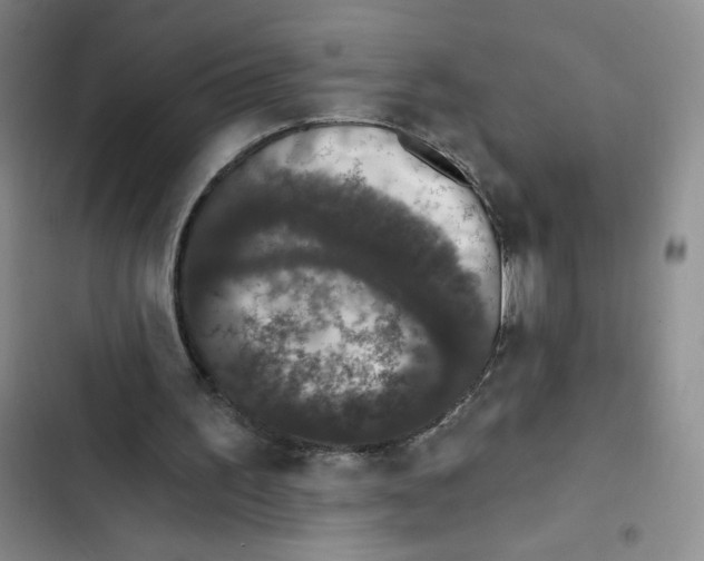 X0000102810195200809150959