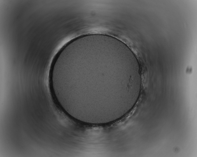 X0000102810196200809150959