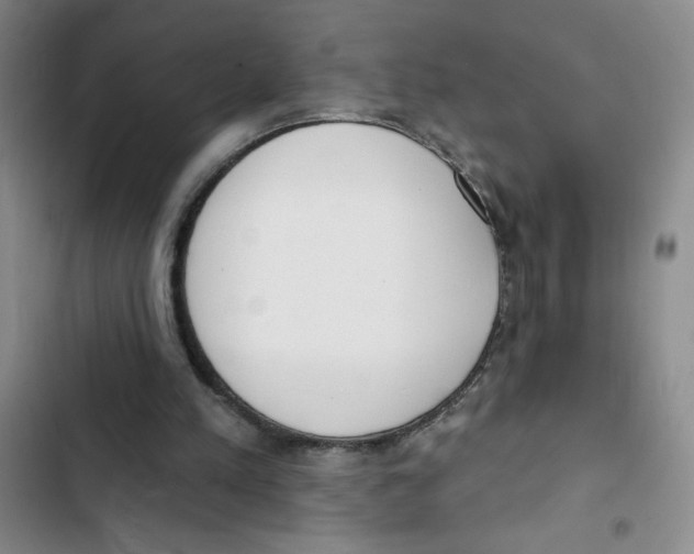 X0000102810197200809150959