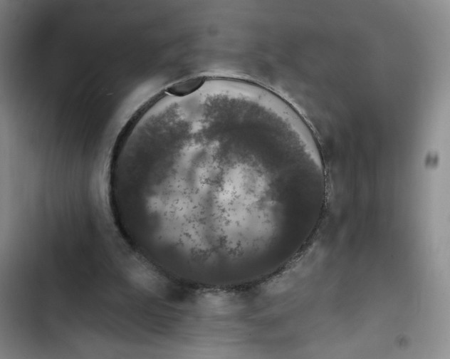 X0000102810199200809150959