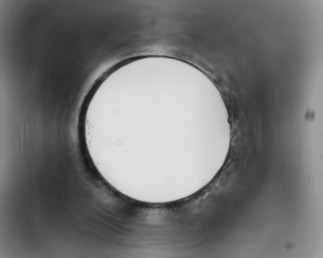 X0000102810200200809150959