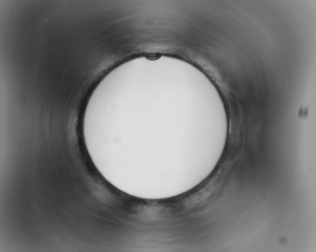 X0000102810201200809150959