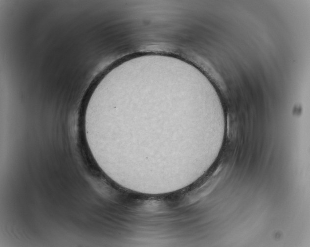 X0000102810204200809150959