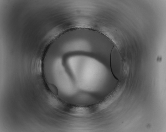 X0000102810205200809150959