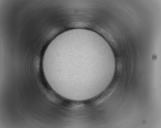 X0000102810206200809150959