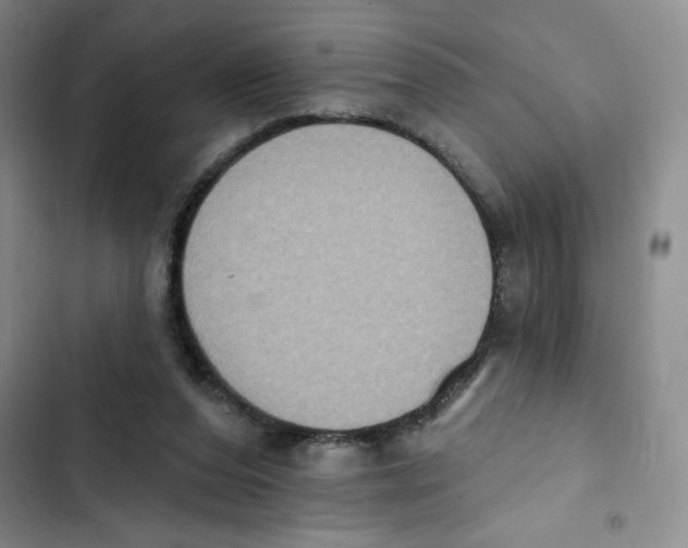 X0000102810208200809150959