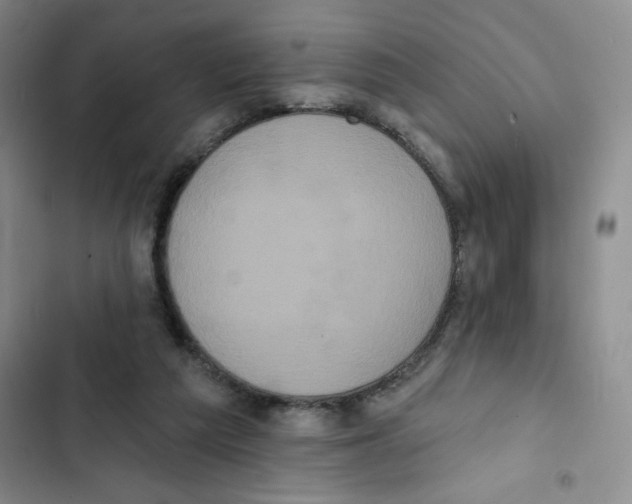 X0000102810209200809150959