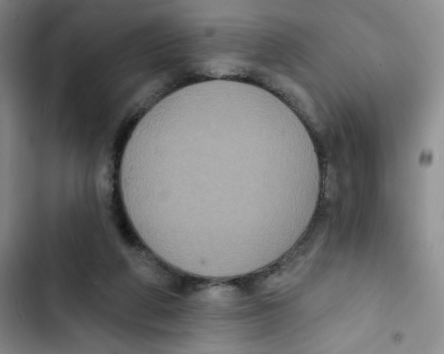 X0000102810210200809150959