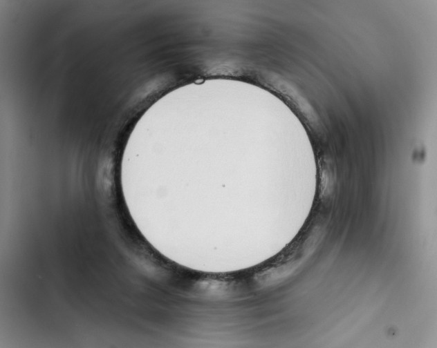 X0000102810211200809150959