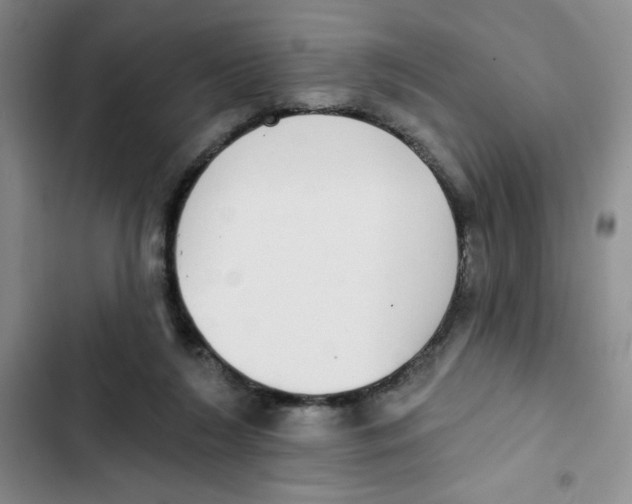 X0000102810212200809150959