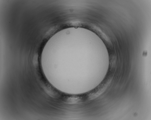 X0000102810213200809150959