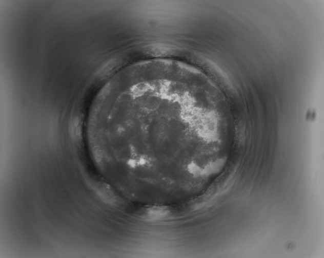 X0000102810214200809150959