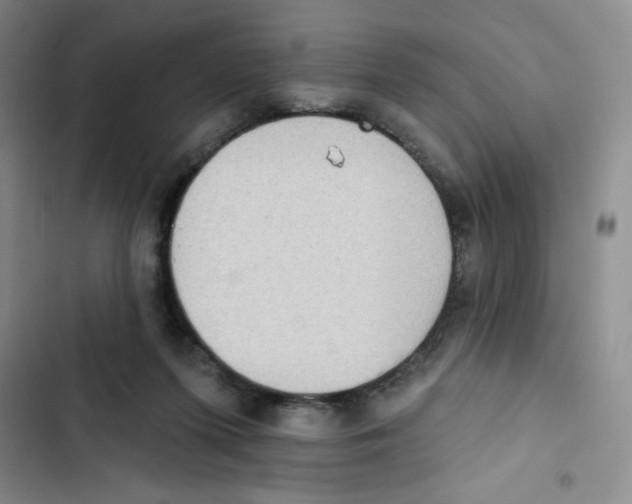 X0000102810215200809150959