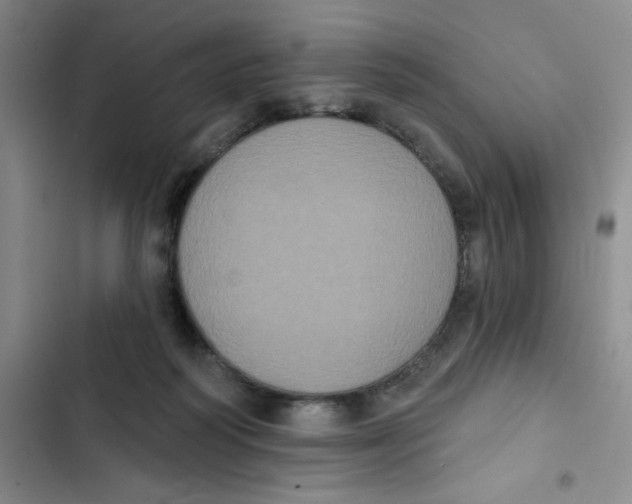 X0000102810218200809150959